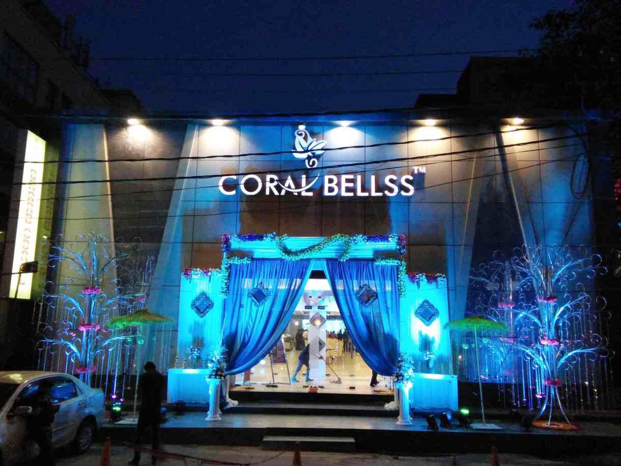 Coral Bellss - Image 1