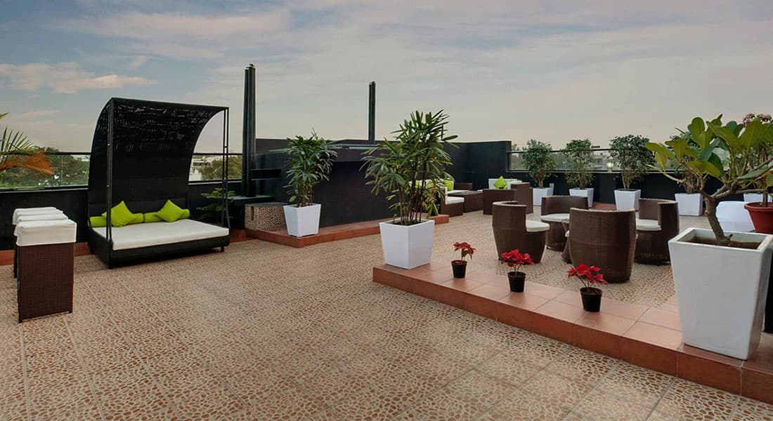 The Pamposh - Image 3