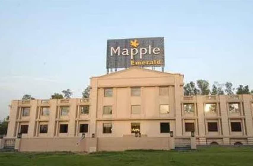 Maple Emerald - Image 1