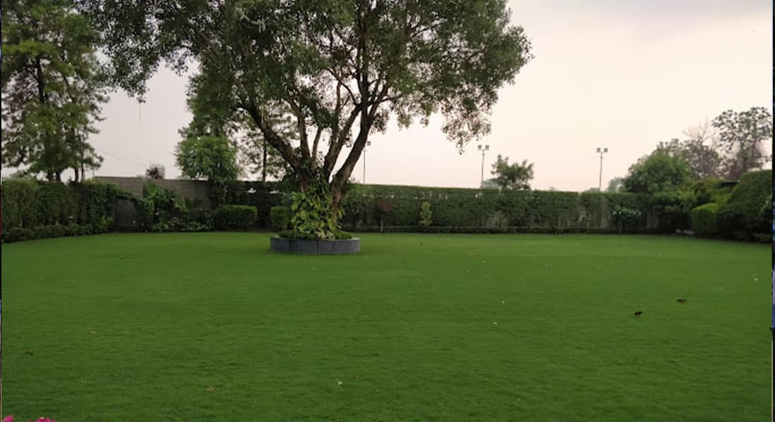 Ananda Greens - Image 2