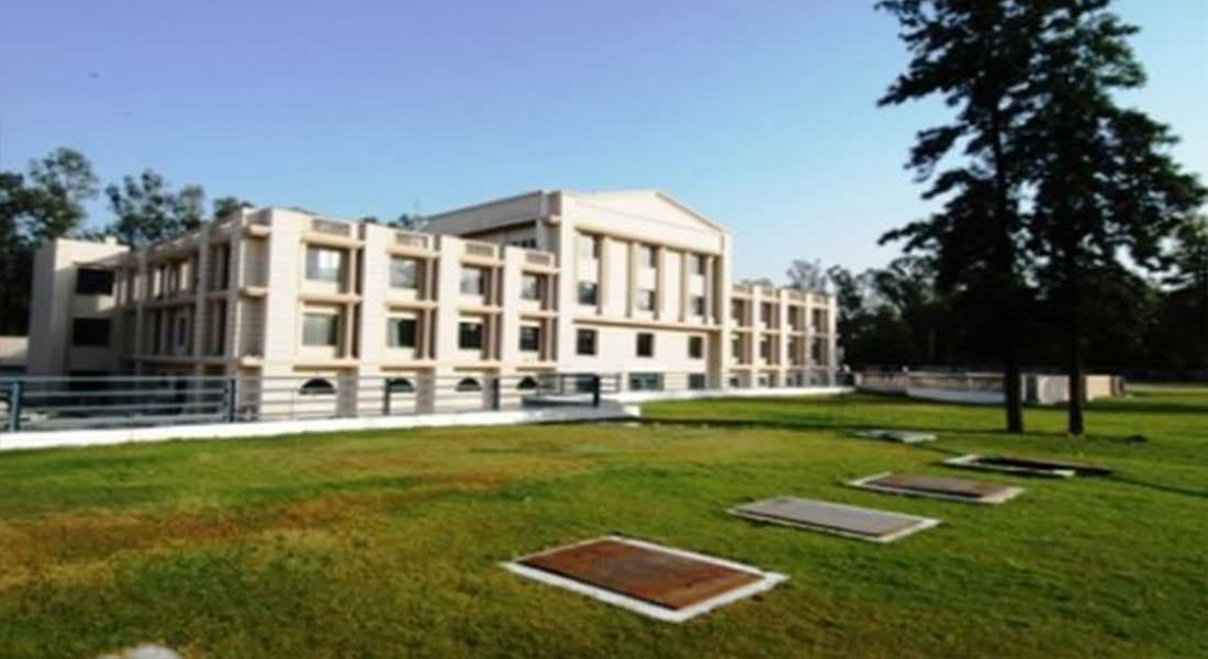 Mapple Emerald - Image 2