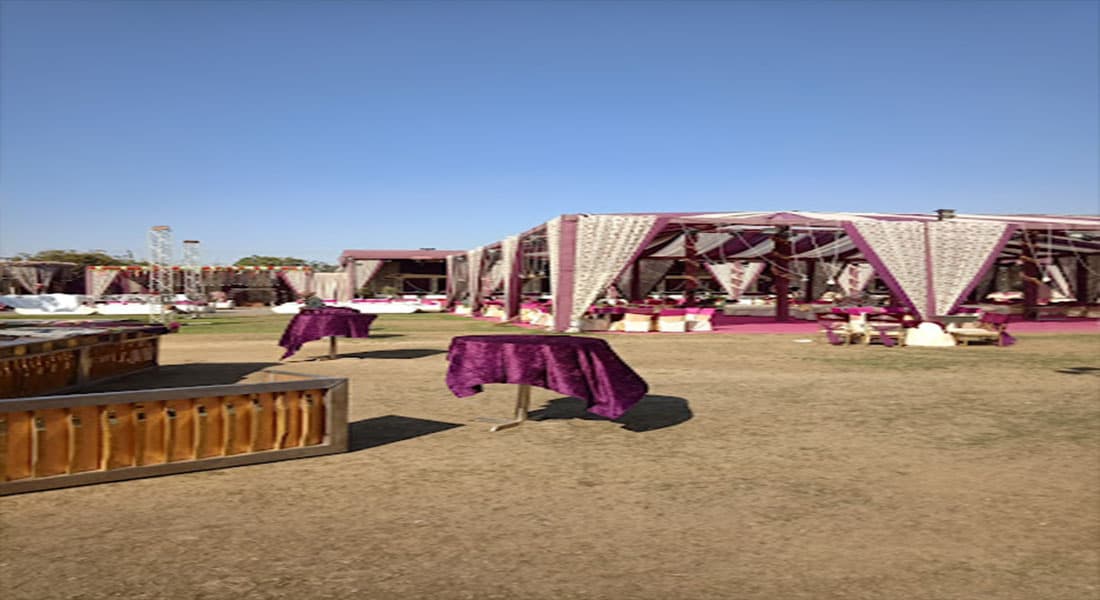 Delite Garden - Image 3