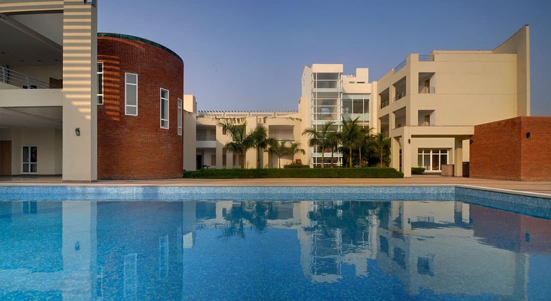 Nirvana Patioz - Image 2