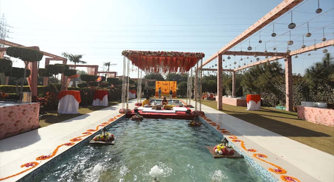 Royal Swan Banquet - Image 2