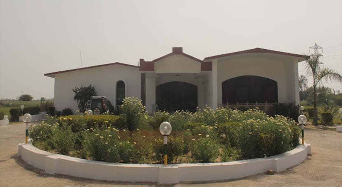 Evergreen Woods - Image 1