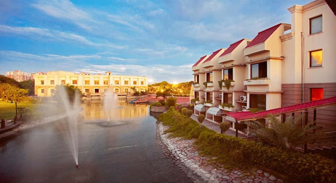 The Stellar Gymkhana - Image 2