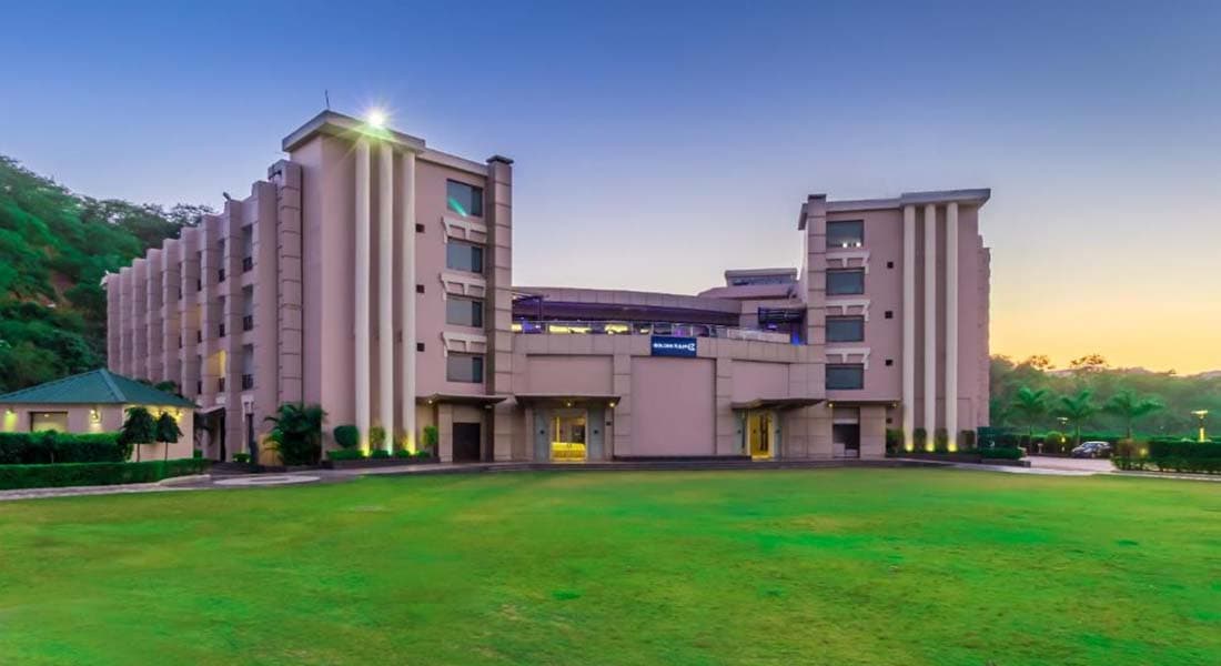 Golden Tulip - Image 1